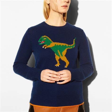 coach rexy sweater women.